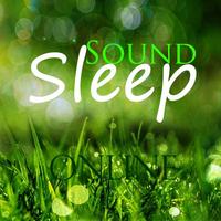 پوستر Sound Sleep Online