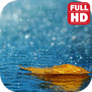 Rain Sounds - Sleep & Relax Rain APK