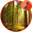 Sleep Sounds Relaxing Sounds APK