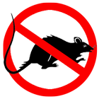 SUARA ANTI TIKUS アイコン