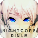 Nightcore Radio Plus-APK