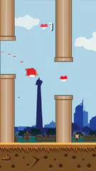 Indo Bird APK download