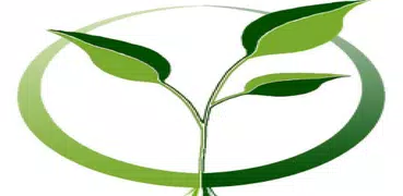 Botany Lectures
