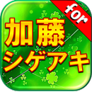 クイズfor　加藤シゲアキ　from　NEWS APK