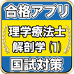 理学療法士国家試験 解剖学⑴