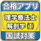 理学療法士国家試験 解剖学⑴ icône