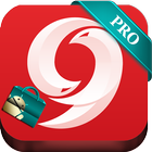 ikon 9Apps pro market