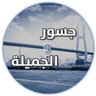 جسور والجميلة ícone