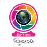 Live Webcams România icône