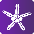 Florais de Saint Germain APK