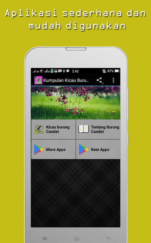 burung cendet mp3 download Master burung cendet mp3 for android apk download.