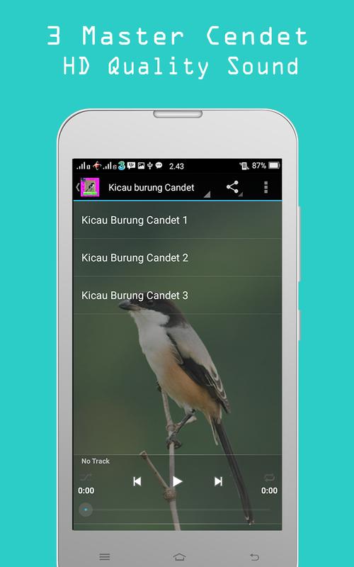 burung cendet mp3 download Suara masteran cendet mp3 | burung pentet gacor | suara pentet.