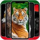 Animals Wallpapers 365 APK