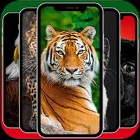 Animals Wallpapers 365 Affiche
