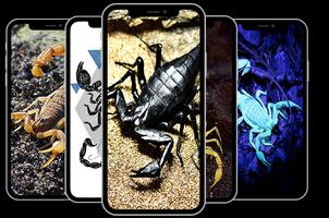 Wallpapers for Scorpion capture d'écran 1