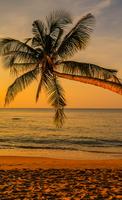 Beach Wallpapers captura de pantalla 3