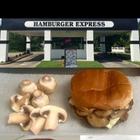 Hamburger Express Cape Gir ícone