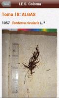 Herbarium IES P. Luis Coloma screenshot 1
