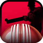 Play It Cricket-icoon