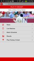 Play It Cricket постер