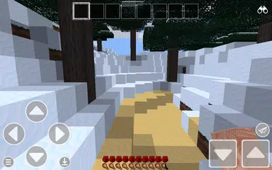 download Block World Craft : Mine Build APK