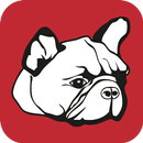Vida Perra APK
