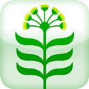 Blancabell APK