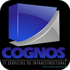 COGNOS 图标