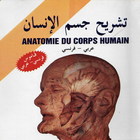 قاموس فرنسي عربي تشريح جسم الانسان icône