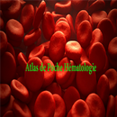 Atlas de Poche Hématologie APK