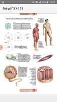 برنامه‌نما Atlas Anatomie Humaine عکس از صفحه