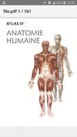 Atlas Anatomie Humaine penulis hantaran