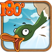 Duck Hunting 180°