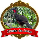 Jacu|O Canto do Jacu APK
