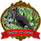Jacu|O Canto do Jacu icône