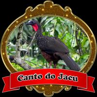 Jacu|O Canto do Jacu Affiche