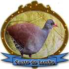 Lambu|Canto de Inhambu Offline icon