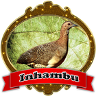 Inhambu|Canto de Brasileiro icône