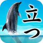 Can Dolphin Stand? icon