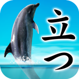 Can Dolphin Stand? icon