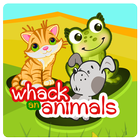 Catch the Animals for kids أيقونة