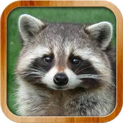 Kids Learn About Animals APK download