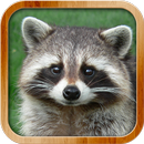 Kids Learn About Animals APK