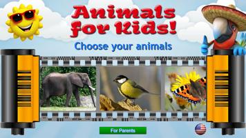 Kids Learn About Animals Cartaz