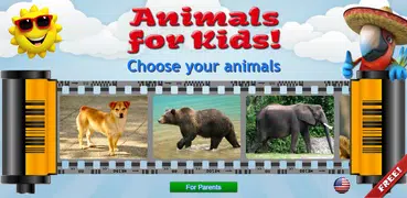 Animals for Kids