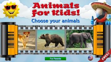 Animals پوسٹر