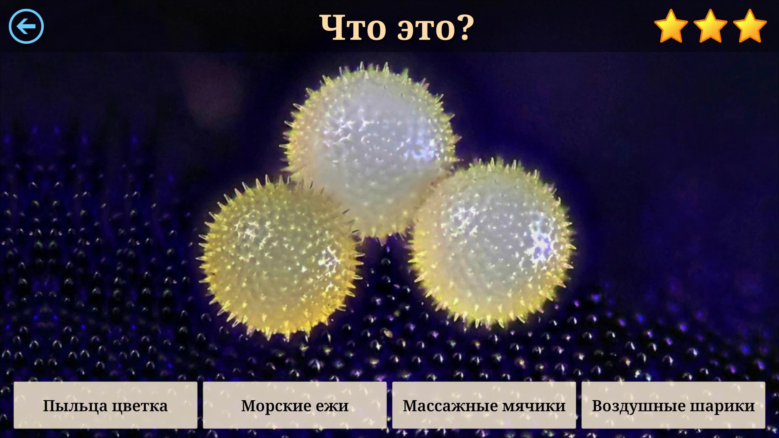 Исследование пыльцы. Микромир под микроскопом. Интересный микроскоп изучаем микромир. Пыльца растений под микроскопом. Мир под микроскопом название.