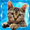 Учись Читать (полная версия) APK