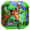crazy crash:Jungle Bandicoot