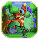 APK crazy crash:Jungle Bandicoot